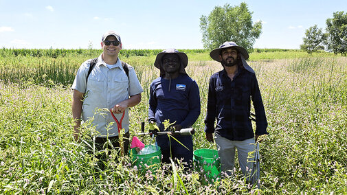Three men stand in a tall, green grass and wildflower field on a sunny day, holding soil sampling tools and buckets used for soil health benchmarking research.