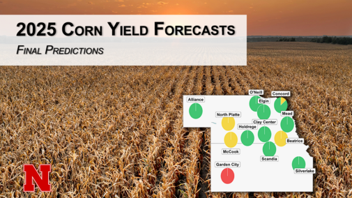 Hero graphic showing a mature cornfield at sunset with the headline “2025 Corn Yield Forecasts — Final Predictions” and an inset NE–KS map with yield-probability pies.