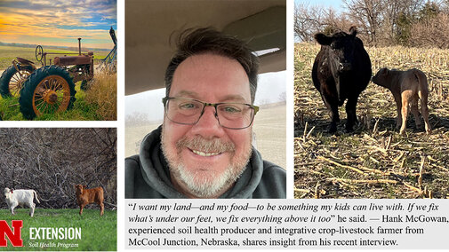 Collage showing a farmer, grazing cattle, young calves and an old tractor, with a quote about healthy soil and family stewardship.