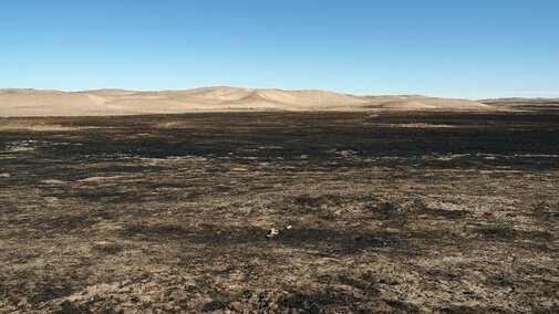 wide view of the charred rangeland after the Morrill fire in the Sandhills of Nebraska is 2026