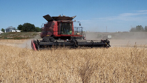 Red combine harvesting crops in a golden field under a clear blue sky.