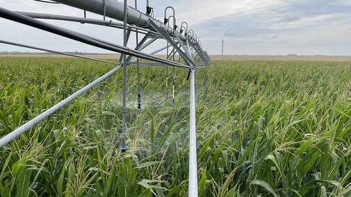 Irrigation system spraying water over a green cornfield under a cloudy sky.