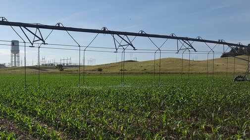 Center pivot irrigating corn