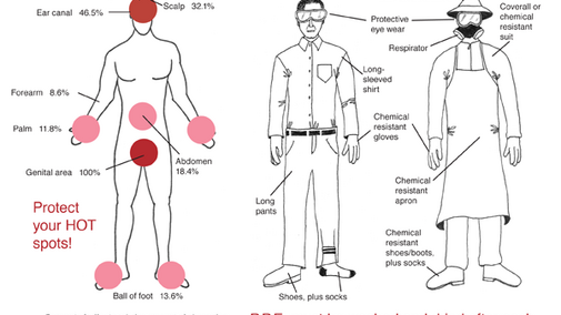 Body Exposure Points and Personal Protective Equipment