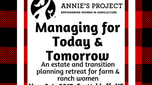 Ad for Annie's Project Nov. 3-4