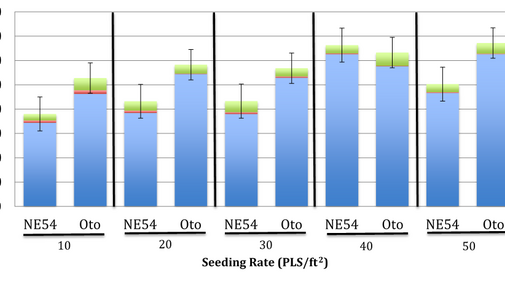 Chart showing tiller numbers of two varieties of indiangrass