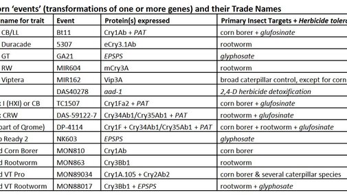 Excerpt from the November 2018 Bt Trait Table