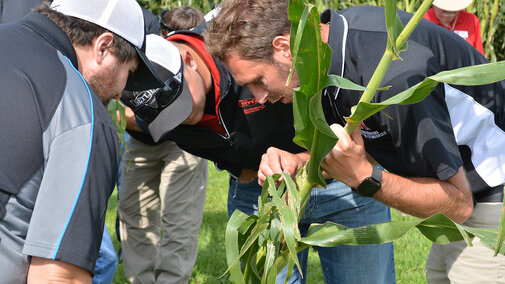 Justin McMechan identifying aphids