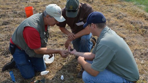 three farmers inspecting soil