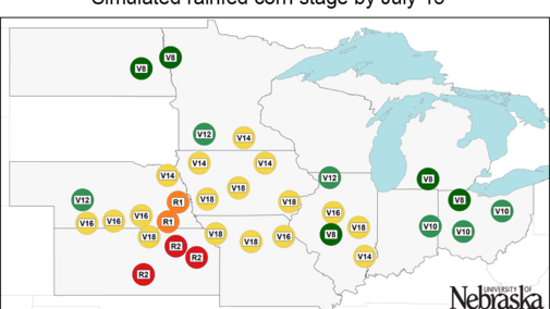Growth stages of corn at rainfed sites in monitored by Corn Yield Forecast Center
