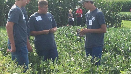 Colfax County Crop Scout Team, winners in 2016