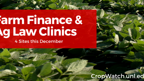 Image announcing December clinics