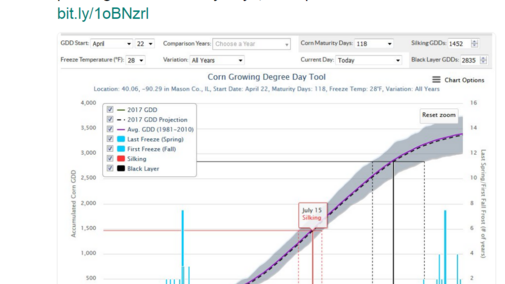 Corn GDD chart