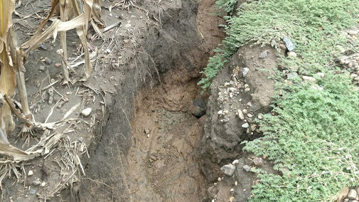 Soil erosion following heavy rains