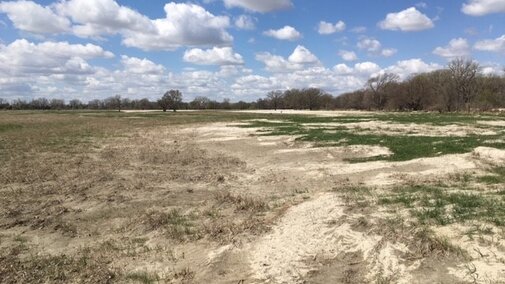 Sand-covered pasture near Ravenna