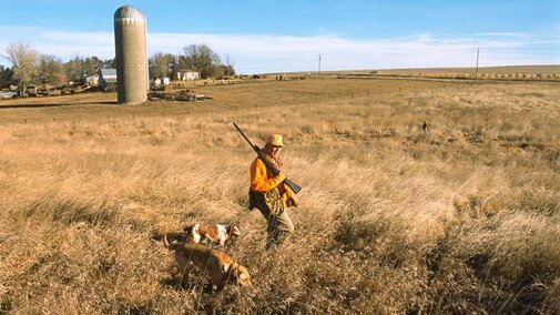 A hunter walking a private field with his dog in Burt County