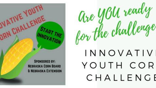 Innovative Youth Corn Challenge