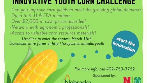 innovative youth corn challenge graphic