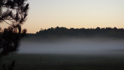 Photo of ground fog indicating a temperature inversion