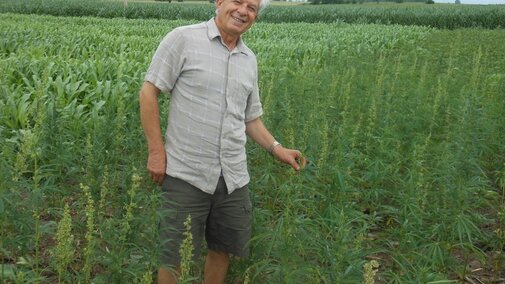 Ismail Dweikat, University of Nebraska-Lincoln professor of agronomy and horticulture, has been researching hemp production in small plots for the last two crop seasons.