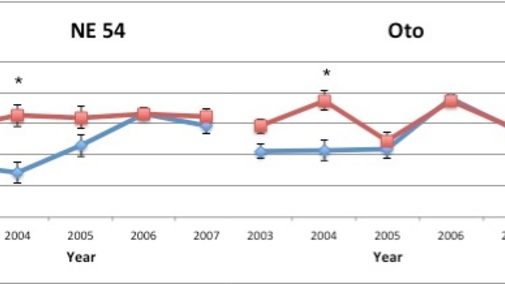 Graph of stand frequency for two indiangrass varieties