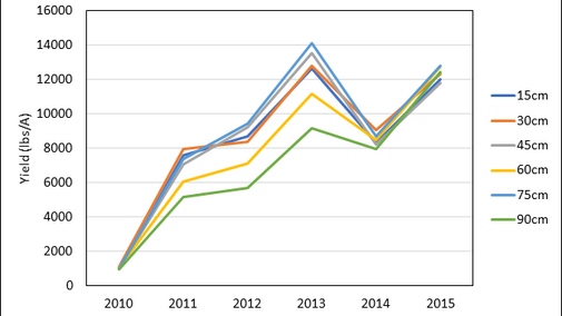 Chart showing row spacing effects on switchgrass yields.