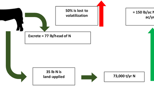 Figure 1. Land-applied manure from finishing 5 million beef cattle per year in Nebraska contains the equivalent of 150 lb/ac/yr N applied to 1.2 million acres.