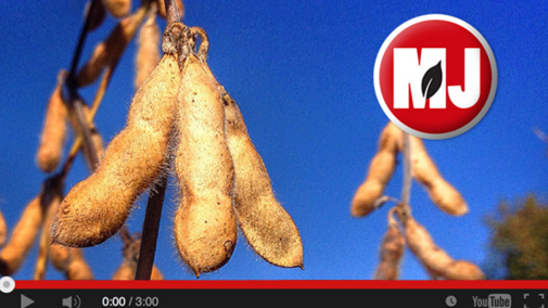 Market Journal video capture