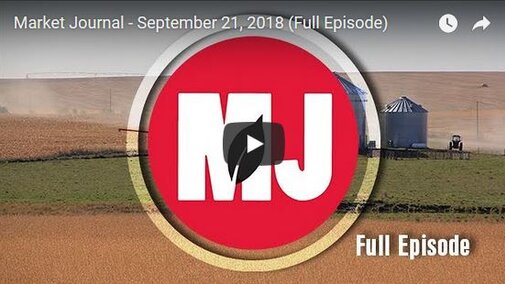 Screen capture of Sept. 21, 2018 Market Journal