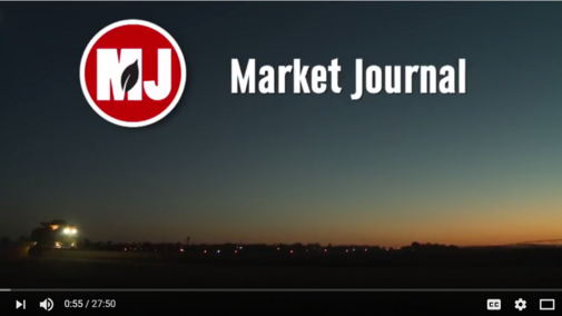 Market Joural screen shot
