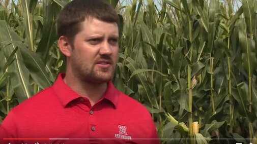 Nebraska Extension Educator Nathan Mueller on estimating corn yields.