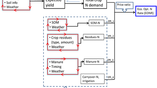 N Management Decision Tree