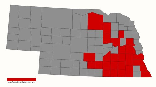 Map of counties where southern rust had been confirmed as of Aug. 3, 2017