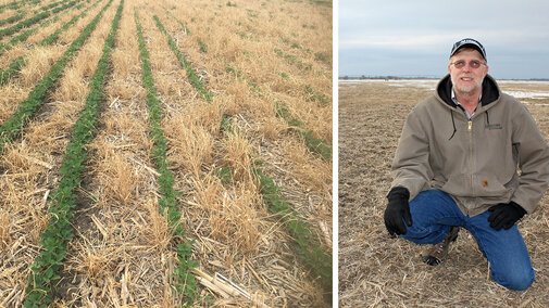 Don Batie with his strip-till soybean plot.