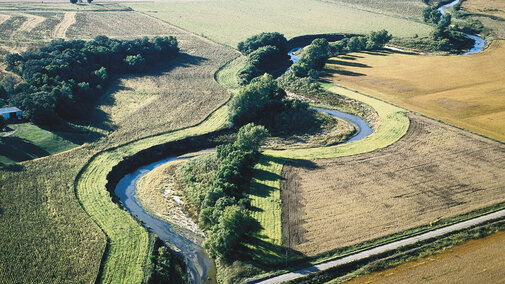 filter and buffer strips next to waterway