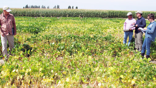 Figure 1. Researchers tour multiple dry bean variety plots at the Panhandle Research and Extension Center to identify favorable traits for varieties grown in Nebraska and elsewhere. (Photo by David Ostdiek)