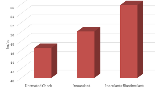 Sample of marketing chart