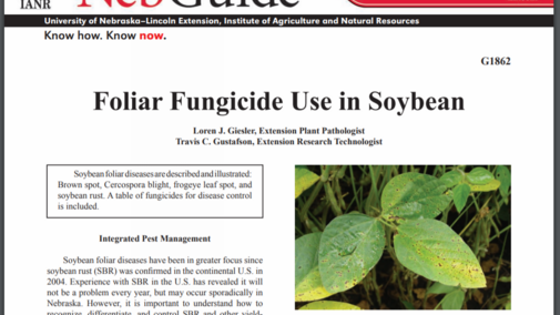 Cover of new Extension publication, Foliar Fungicide Use in Soybean