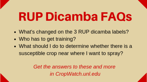 Graphic listing several questions in the FAQ story