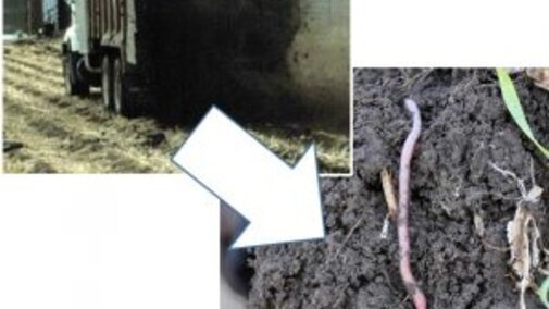 Illustrating improved soil aggregates from manure applications.