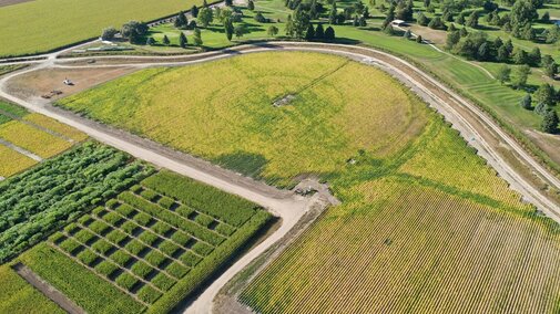 SDI Irrigation at the Panhandle Research and Extension Center