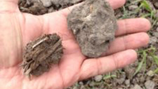 Two soil aggregates: manure (left) versus a heavy soil aggregate