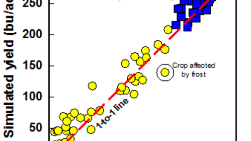 Graph showing simulated corn yields versus measured yield