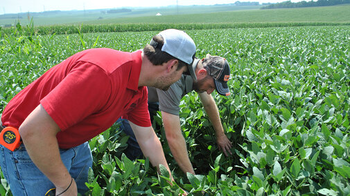 Extension Educator Nathan Mueller and grower Ryan Siefken scout an on-farm soybean research plot in eastern Nebraska. (Photo by Laura Thompson)