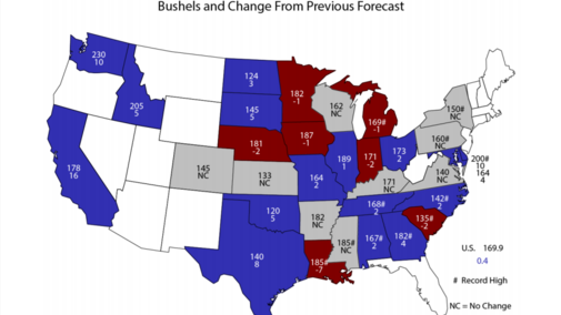 Map of forecast corn grain harvest and percent change from the last forecast.