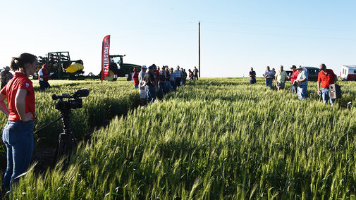 May 30 Nebraska Extension Wheat Field Day in Jefferson County