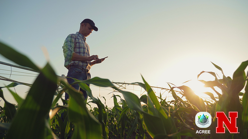 Farmer standing in a corn field using a smartphone near a center pivot irrigation system at sunset with ACREE and Nebraska Extension logos.