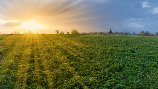 Sun setting over a lush green field under a cloudy sky.