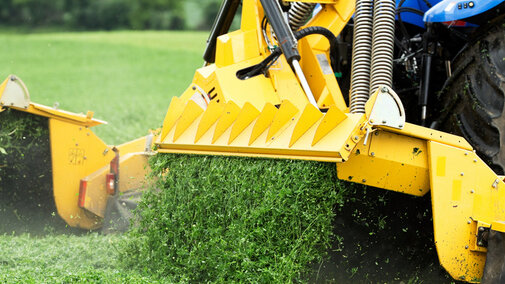 Harvested alfalfa falls from combine