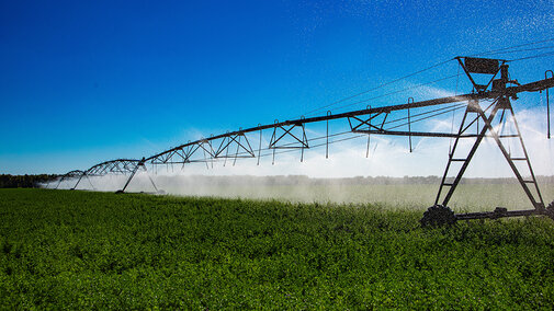 Center pivot sprinkler irrigates a lush green alfalfa field under a clear blue sky as plants mature.